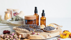 Formation : L'essentiel de la naturopathie